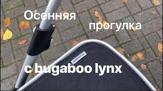 Осенняя прогулка с bugaboo lynx