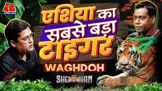 Waghdoh, Big Daddy, Scarface नाम से मशहूर Tiger की पूरी कहानी: Sher khan, Ep 32 | Tadoba | Podcast