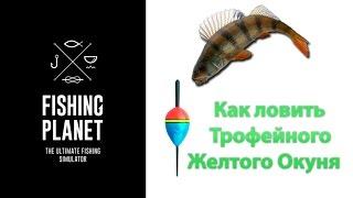 Как ловить Трофейного Желтого Окуня Fishing Planet (поплавок) | Фишинг Пленет окунь, краппи