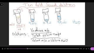 Dilution Factors and CFU's/ml Calculations