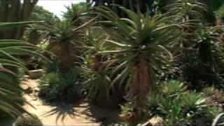 Anaheim Colony Pt. 3 - California's Gold with Huell Howser #135