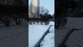 #toronto #snow #torontotravelguide #winter #travel