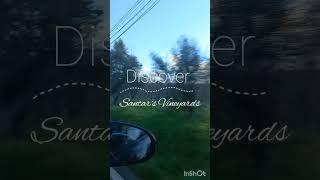 Travel Guide In Portugal [Uncovering the history and tradition of winemaking in Santar] #silentvlog