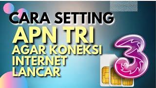 Cara Setting Apn Tri, Agar Koneksi Internet Lancar