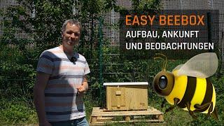 easy BeeBox - ein Bienenvolk zieht bei uns ein