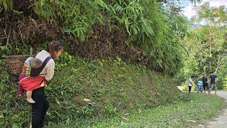 Single mother picks sweet star fruit to sell. Discovers bad husband is being bullied