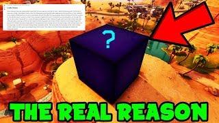 The REAL REASON Behind Purple CUBE In Paradise Palms! (Fortnite Cube Event MEANING)