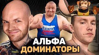 РОМАН ЯЙЦЕВ И ДРУГИЕ ТЕСТОСТЕРОНОВЫЕ АЛЬФА-ДОМИНАТОРЫ