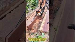 Master Woodworker in the Jungle — Perfect Cuts with Bare Hands!