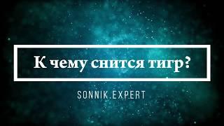 К чему снится тигр - Онлайн Сонник Эксперт