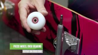 How to Install Skateboard Wheels & Skate Bearings - WarehouseSkateboards.com