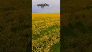 Вы всё еще не верите в НЛО? Кубань 8 мая 2023. #нло #кубань #новости #ufo #летающаятарелка