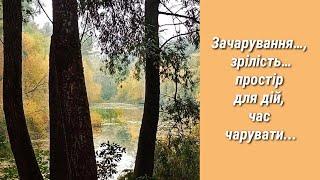 ЧАС ЧАРУВАТИ. ОСІНЬ ДИВУЄ...КОРОТКІ ВІДЕОМЕДИТАЦІЇ.