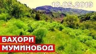 Тоҷикистон: Табиати зебои Муминобод / Tajikistan Muminobod 2019