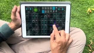 BGM cover of Vannam Konda Vennilave by Sripathy Ramesh on the iPad
