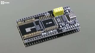 ESP8266 Programmer for ESP12, ESP01, Esp32-Wrover Modules