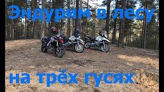 Лесной тест трёх гусей F800GS/R1100GS/R1150GS