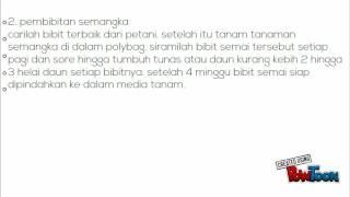 dimas aditya 361541311131