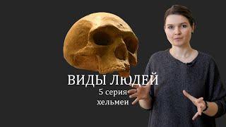 ВИДЫ ЛЮДЕЙ. 5 серия Хельмеи. Елена Сударикова