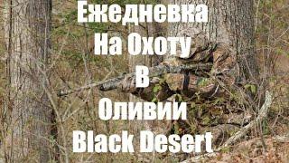 Ежедневка на Охоту в Оливии Black Desert