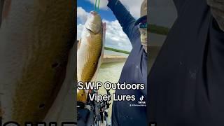 Viper Lures from SWP Outdoors Limits on Redfish