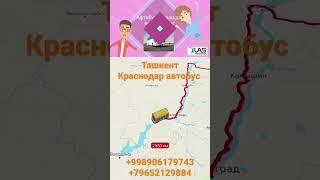 Ташкент Краснодар автобус. Тошкент Краснодар автобус -  Tashkent Krasnodar avtobus