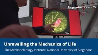 Unravelling the Mechanics of Life: The Mechanobiology Institute, National University Of Singapore