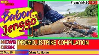PROMO.!! Mancing Udang Galah | 10 Best Strike Compilation | Giant Freshwater Prawn Fishing