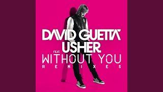 Without You (feat. Usher) (Extended)