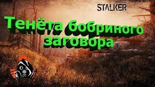 Сталкер онлайн (STALKER online) - Бобёр/Тенёта бобриного заговора