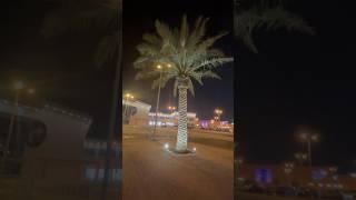 Night life at Saudi Arabia #nightlife  #nightview #palamtree