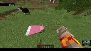 WR | Minecraft: Java Edition - Pink Sheep% | Speedrun 18s