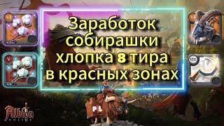 Заработок в Красных Зонах,Собирашкой Хлопка 8 тира в Albion online Albion Online #albiononline