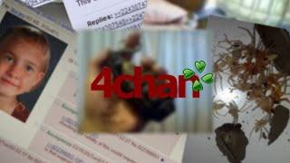 Жуткие Треды 4chan