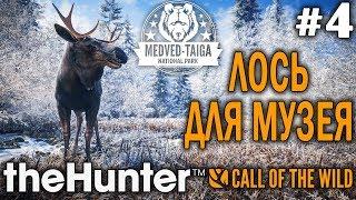 theHunter call of the wild #4  - Лось Для Музея - Оружие: Арбалет - Трофеи: Лось