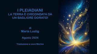 I PLEIADIANI - La Terra è circondata da un Bagliore Dorato!, di Maria Lustig, Agosto 2024.