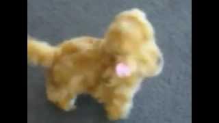 BARKING DOG BATTERY OPERATED