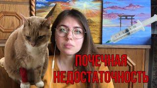 КАК ЗАБОЛЕЛ КОТ, СИМПТОМЫ ПОЧЕЧНОЙ НЕДОСТАТОЧНОСТИ