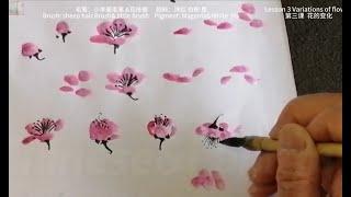 国画教学合集: 16.梅花/ how to paint plum blossom ‖Chinese Painting(2023)