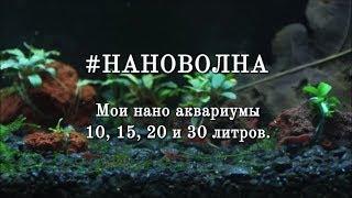 #НАНОВОЛНА Мои нано аквариумы 10, 15, 20 и 30 литров.