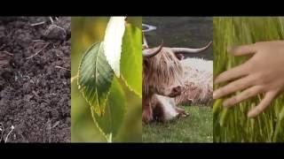 ️ Health, Ecology, Fairness, Care - Principles of Organic Agriculture!