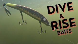 DIVE & RISE BAITS - HOW TO RUN AND TUNE WITH RICH AND FISCHER