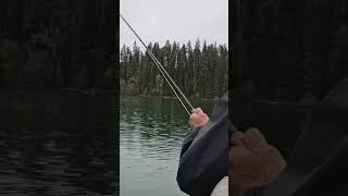 Tight line slaying Trout