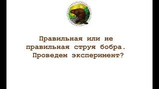 Правильная и неправильная струя бобра. Проведем эксперимент? (часть 1)