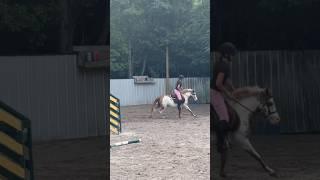Millie was very good tn! It's been over 3 y since I rode her. My feet were touching the jumps‍️
