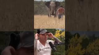 Joe Rogan's Epic Reaction to Elephants Chasing a Man! 