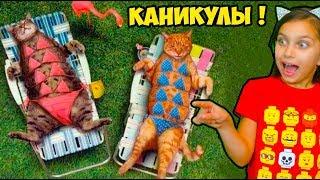 ЛУЧШИЙ НЕ ЗАСМЕЙСЯ ЧЕЛЛЕНДЖ с КОТАМИ! Попробуй не засмеяться Валеришка Тест на психику Реакции kids