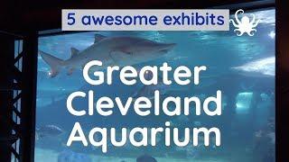 Greater Cleveland Aquarium - 5 exhibits you should see