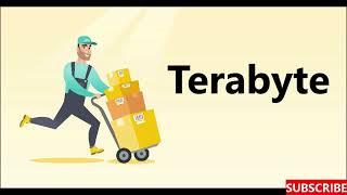 Terabyte : One Word Definition : What is Terabyte ?