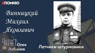 Винницкий Михаил Яковлевич. Проект "Я помню" Артема Драбкина. Летчики -штурмовики